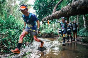 BIB: 
                            <button type="button" onclick="openModal(25369351)" class="btn btn-primary btn-sm float-right btn-popup" data-toggle="modal" data-target=".modal-high-quality">
                        <i class="fas fa-shopping-cart"></i> Add to Cart
                    </button>
                                            <button type="button" onclick="isThisMe(25369351, true)" class="btn btn-success btn-sm float-right btn-popup btn-isme hidden" data-toggle="tooltip" data-placement="bottom" title="นี่คือรูปของคุณใช่ไหม คลิกที่นี่เพื่อเอาเข้าอัลบั้ม">
                        <i class="fas fa-plus"></i> Add to album
                    </button>
                    <button type="button" onclick="isThisMe(25369351, false)" class="btn btn-warning btn-sm float-right btn-popup btn-isnotme hidden">
                        <i class="fas fa-ban"></i> Remove from album
                    </button>